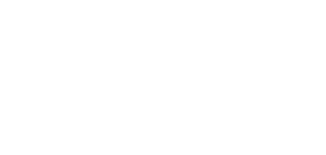 PLIFESTYLE